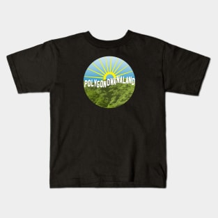 King Gizzard and the Lizard Wizard Polygondwanaland Hollywood sign Kids T-Shirt